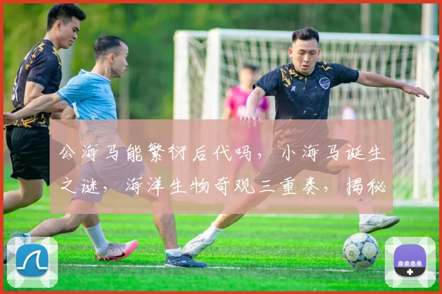 公海马能繁衍后代吗，小海马诞生之谜，海洋生物奇观三重奏，揭秘