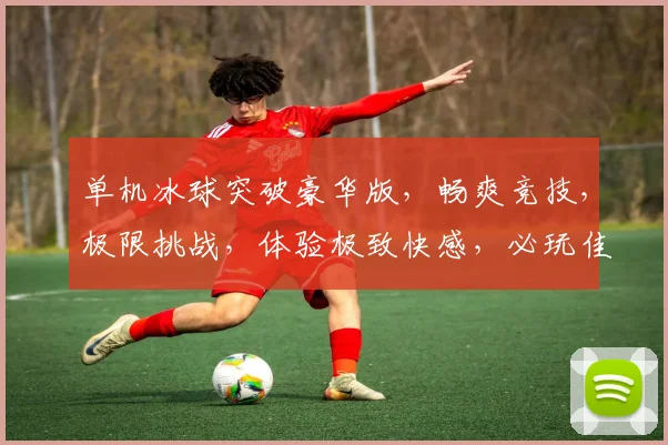单机冰球突破豪华版，畅爽竞技，极限挑战，体验极致快感，必玩佳作三连发，不容错过