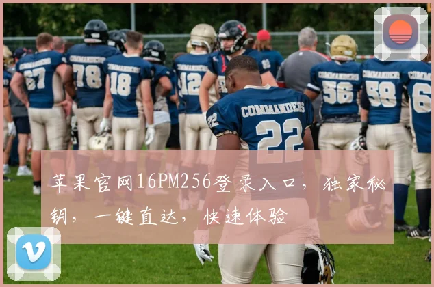 苹果官网16PM256登录入口，独家秘钥，一键直达，快速体验