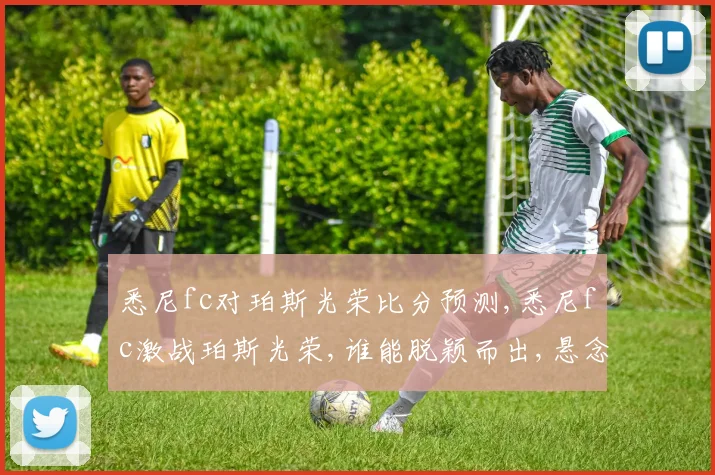 悉尼fc对珀斯光荣比分预测,悉尼fc激战珀斯光荣,谁能脱颖而出,悬念重重,敬请关注